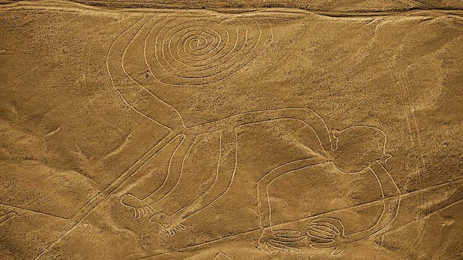 From Lima: Full day flight over in the Nazca Lines - Should you book the flight from Lima?
