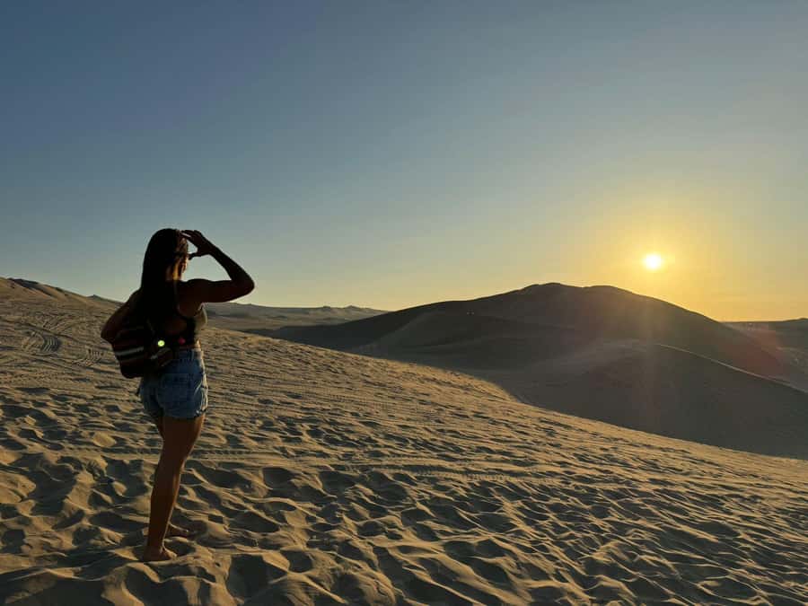 From Lima: Full Day Private All Inclusive Paracas, Ica. - One long day from Lima to the desert coast