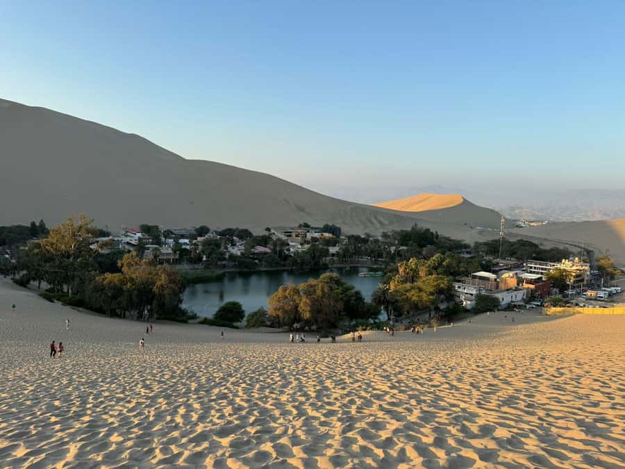 From Lima: Full Day Private All Inclusive Paracas, Ica. - Should you book the Paracas and Ica day trip?
