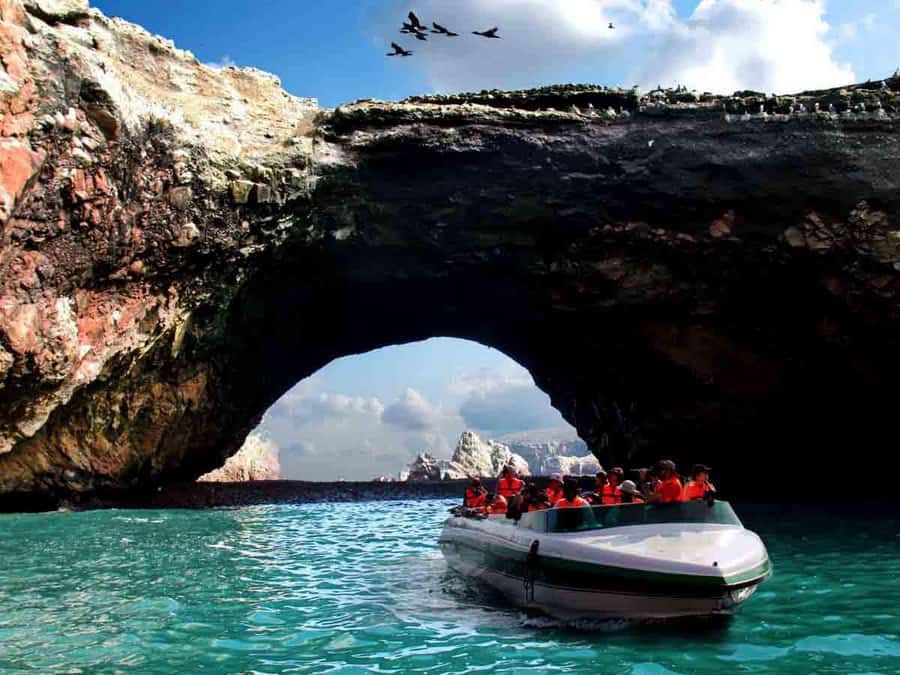 From Lima: Full Day to Paracas and Huacachina Desert Oasis - Who should book this day trip