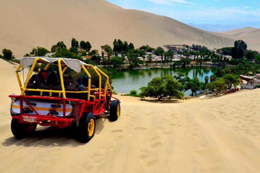From Lima: Full Day Tour (Paracas + Huacachina) - Ica wine and pisco: a tasting with limits