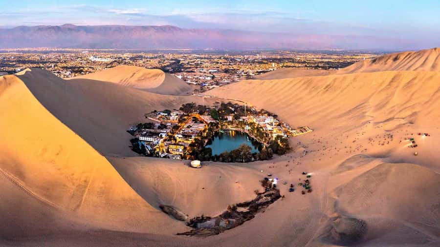 From Lima: Full Day Tour (Paracas + Huacachina) - Ballestas Islands: wildlife from a rocking boat