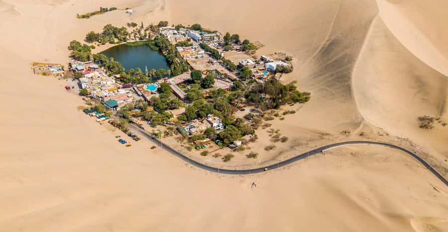 From Lima: Huacachina Oasis & Ballestas Island - ENGL / ESPA - Ballestas Island: Sea Lions, Penguins, and Guanay Cormorants