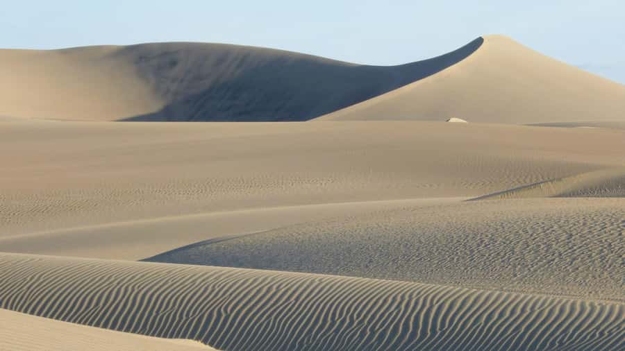 From Lima: Huacachina Oasis & Ballestas Island - ENGL / ESPA - The Return Ride and the Real Cost of a Day Trip