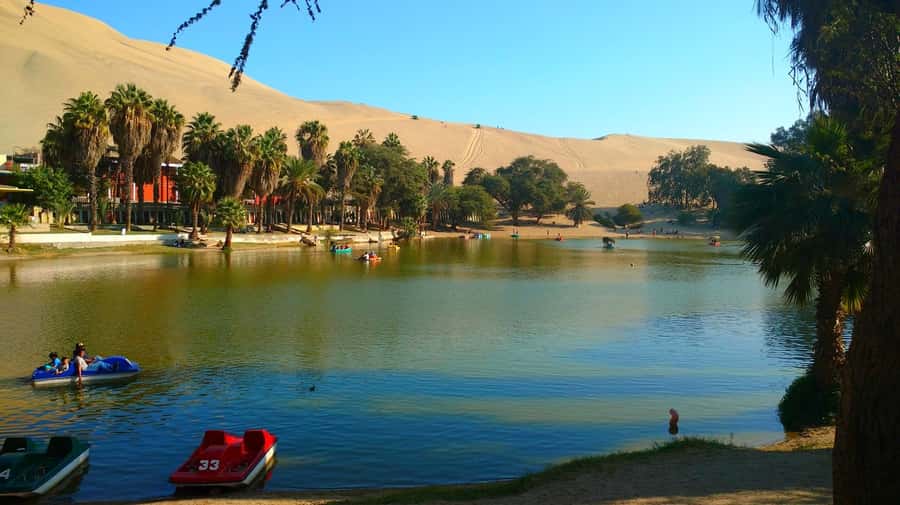 From Lima: Huacachina Oasis Tour, Winery & Desert Sunset - Key points before you book