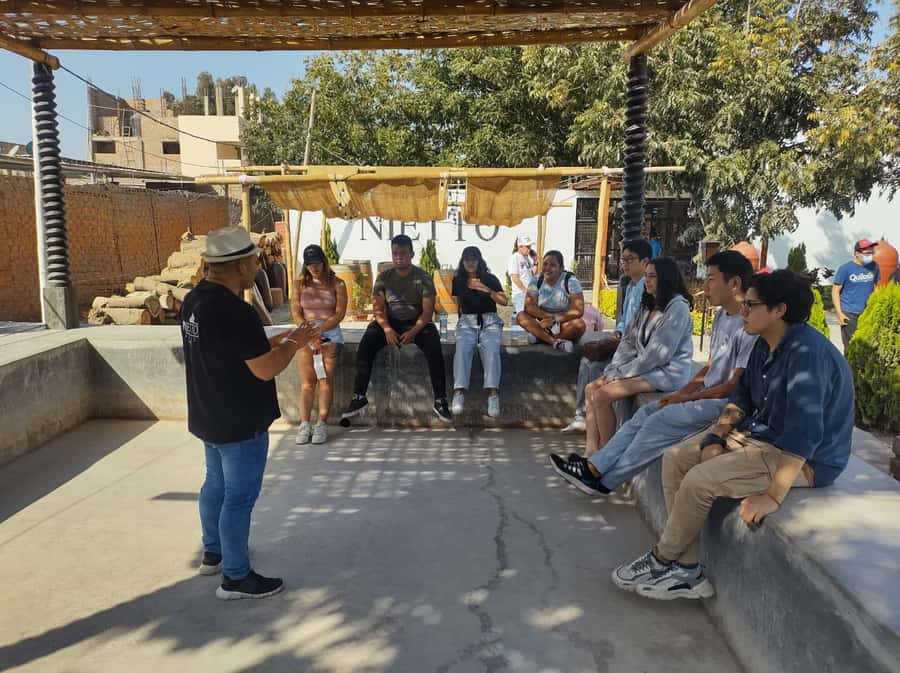 From Lima: Huacachina Oasis Tour, Winery & Desert Sunset - Value, organization, and the mixed parts