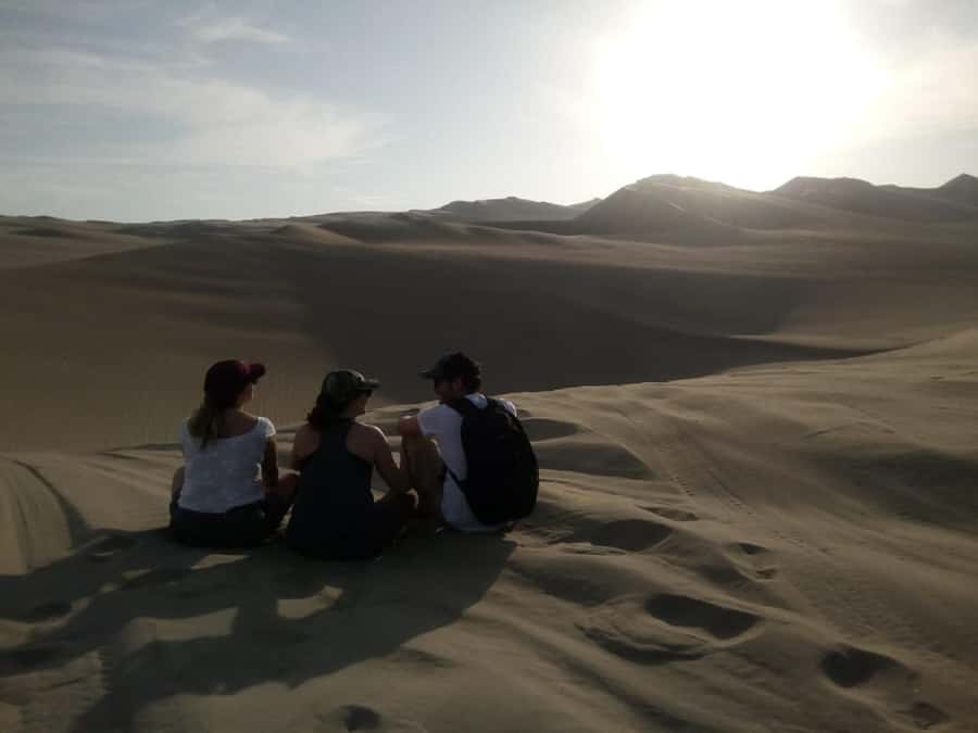 From Lima: Huacachina Oasis Tour, Winery & Desert Sunset - Who should book this Ica day trip