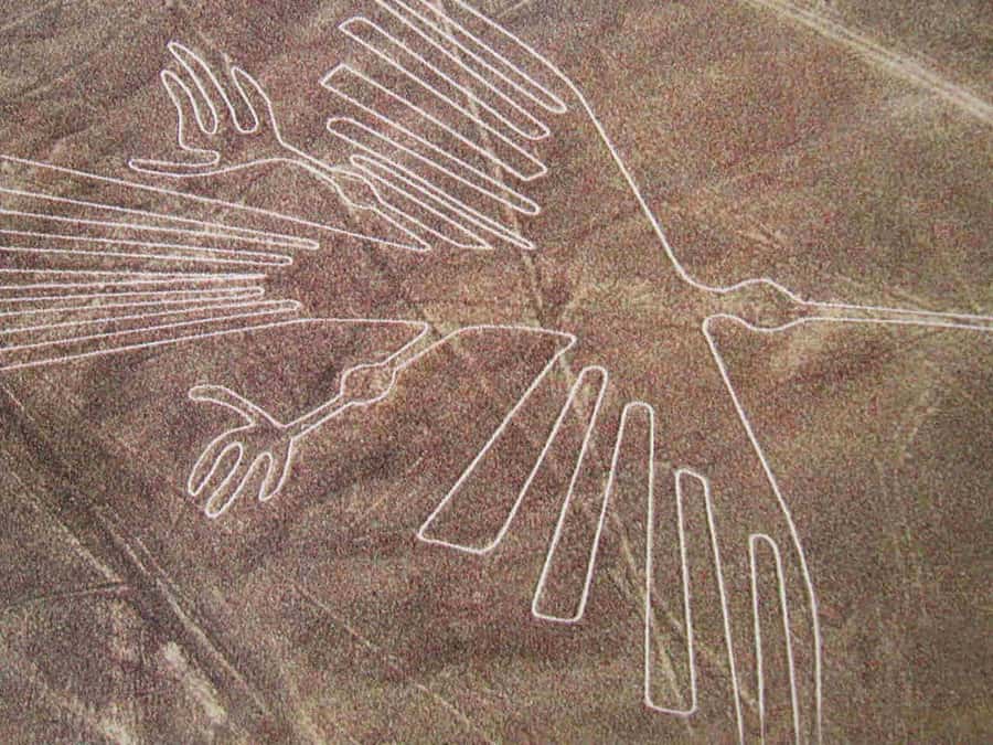 From Lima: Nazca Lines Flight with Huacachina Oasis Tour - Is $480 a fair price?