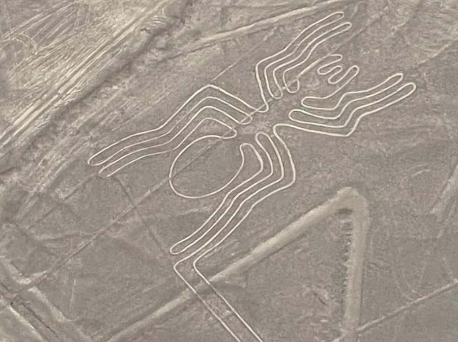 From Lima: Nazca Lines Flight with Huacachina Oasis Tour - Should you book this Nazca and Huacachina tour?