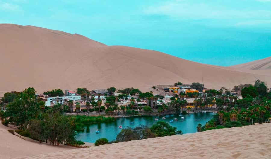 From Lima: Paracas and Huacachina Day Trip with Buggy Ride - The buggy ride across the Ica Desert