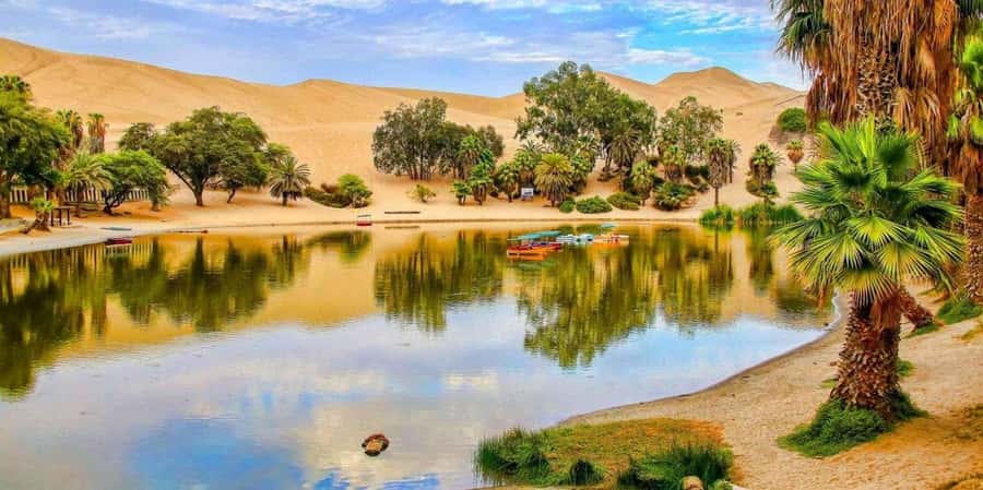 From Lima: Paracas and Huacachina Guided Desert Oasis Trip - Who should book this experience