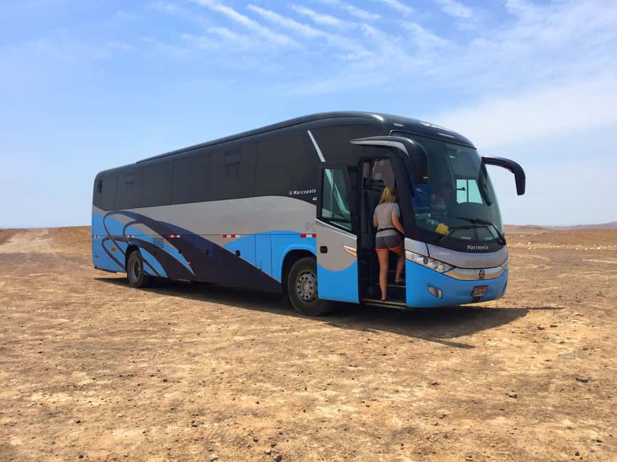 From Lima: Paracas and Huacachina Oasis Full Day Guided Tour - Who should book this trip
