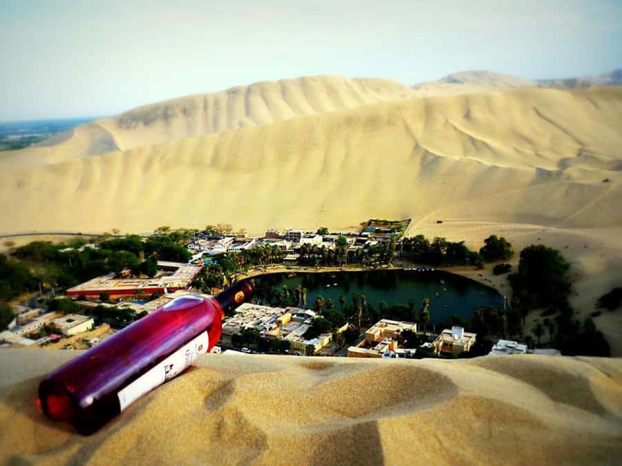 From Lima:Paracas Ballestas Islands and Ica Oasis 1 day Tour - A short pause in Paracas