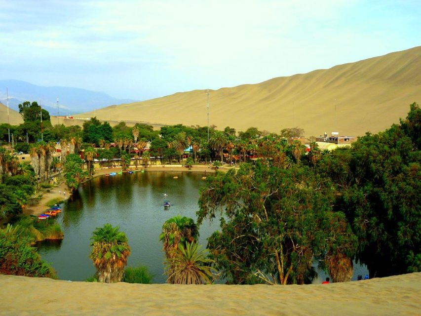 From Lima:Paracas Ballestas Islands and Ica Oasis 1 day Tour - The long ride back to Lima