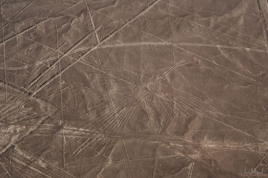 From Nazca: 35-Minute Flight Over Nazca Lines - Who should book this flight?