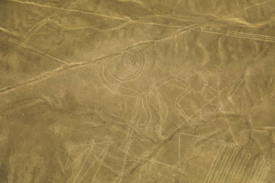 From Nazca: 35-Minute Flight Over Nazca Lines - Airport check-in, weighing, and cash fees