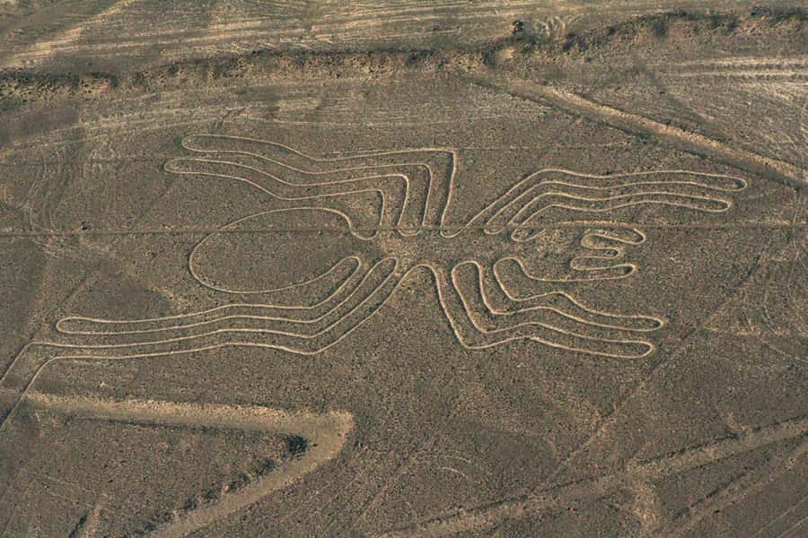 From Nazca: Flight in a light aircraft over the Nazca Lines - Seeing the Nazca Lines from Maria Reiche Neumann Airport