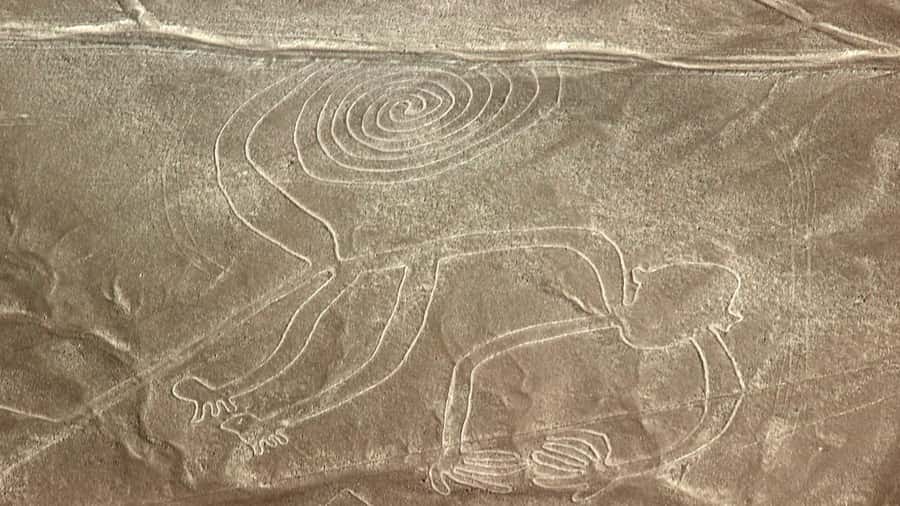 From Nazca: Flight in a light aircraft over the Nazca Lines - Inside the six-passenger Cessna 207A