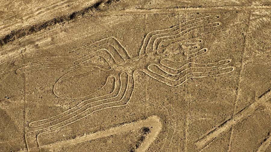 From Nazca: Small plane flight over the Nazca Lines - Hotel pickup and the five-hour schedule