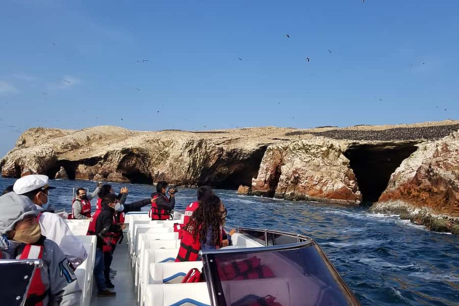 From Paracas: Ballestas Islands & Paracas National Reserve - What the $60 price really includes