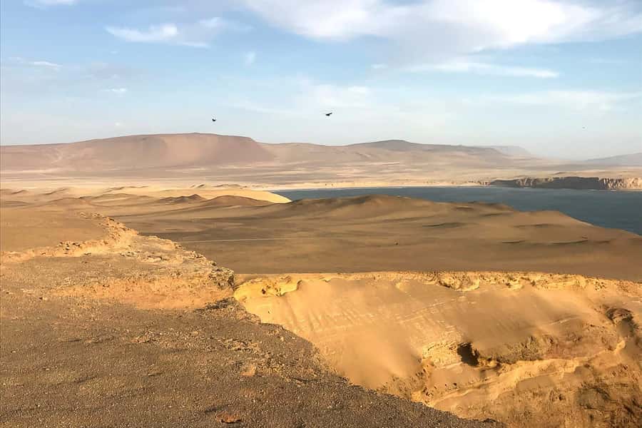 From Paracas: Ballestas Islands & Paracas National Reserve - The Cathedral and the coast’s changing shape