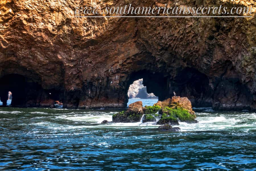 From Paracas: Ballestas Islands tour all Inclusive - Key points at a glance