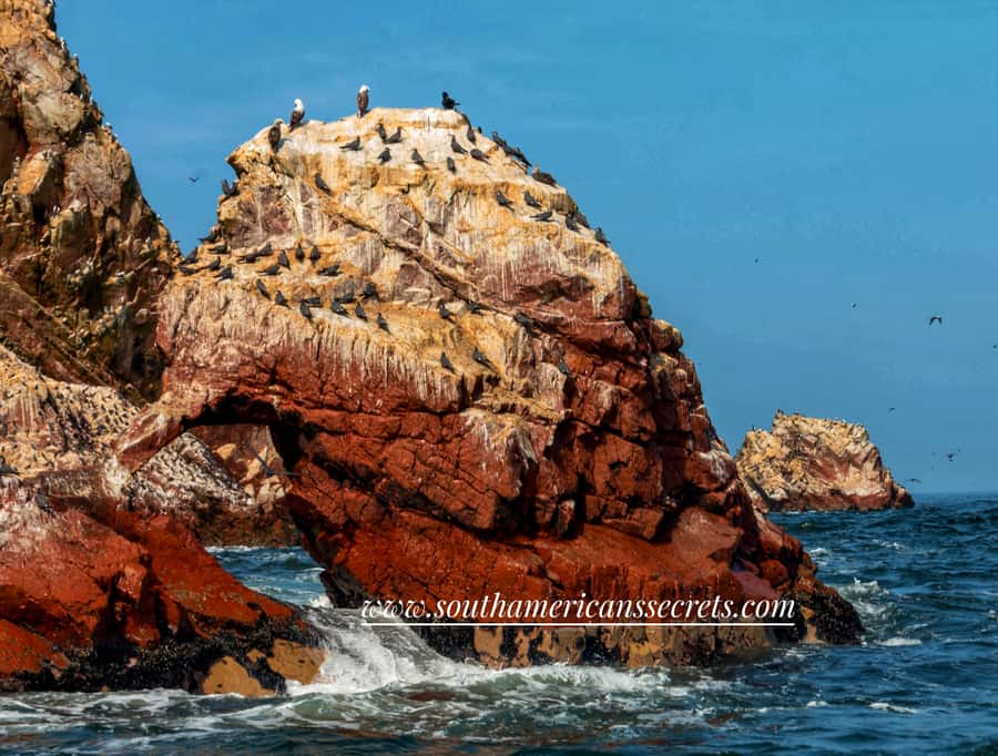 From Paracas: Ballestas Islands tour all Inclusive - Why the Ballestas Islands are worth your morning