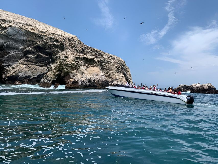 From Paracas: Ballestas Islands tour all Inclusive - What to bring and how to prepare
