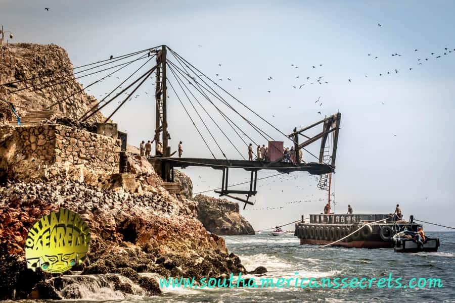 From Paracas: Ballestas Islands tour all Inclusive - Starting from Paracas and reaching the marina