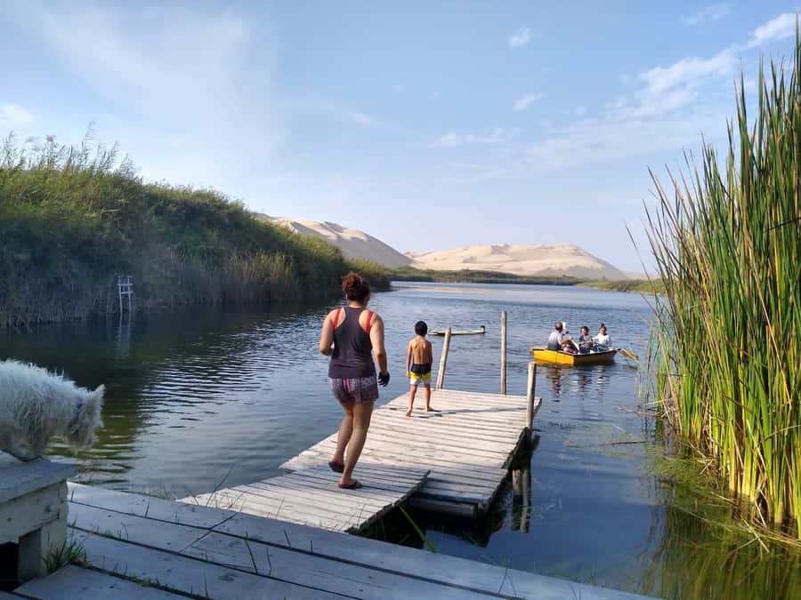 From Paracas: Mini Buggy Tour & Sandboarding at Oasis - How much time should you want at the oasis?