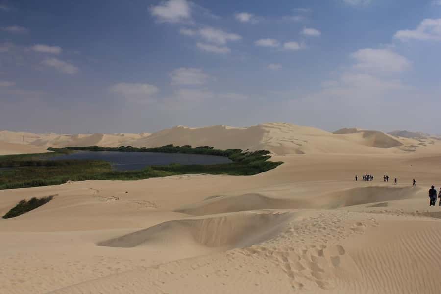 From Paracas: Mini Buggy Tour & Sandboarding at Oasis - Safety, comfort, and who should book