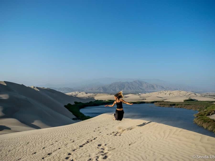 From Paracas: Mini Buggy Tour & Sandboarding at Oasis - What kind of day does this create?