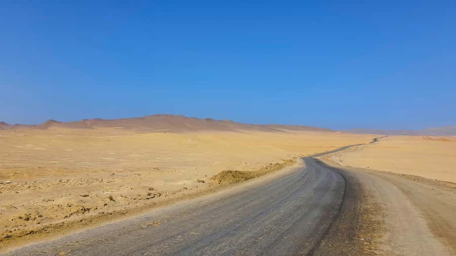 From Paracas: Paracas National Reserve Private Tour - Why Paracas Reserve feels different
