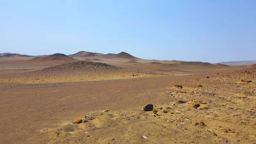 From Paracas: Paracas National Reserve Private Tour - Sea lions and thousands of coastal birds