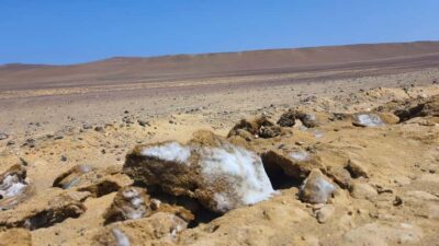 Paracas National Reserve Private Tour