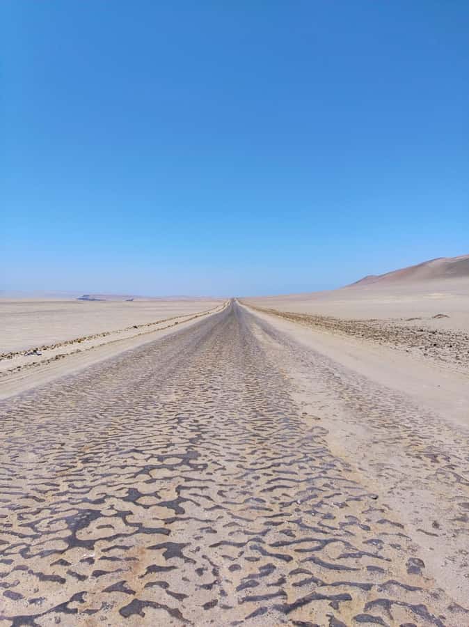 From Paracas: Paracas National Reserve Private Tour - Who will enjoy this three-hour outing