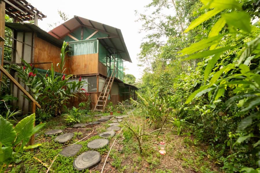 From Puerto Maldonado: 4-Day Excursion /wildlifesearch - Day three: Machigenga culture and a community wetland