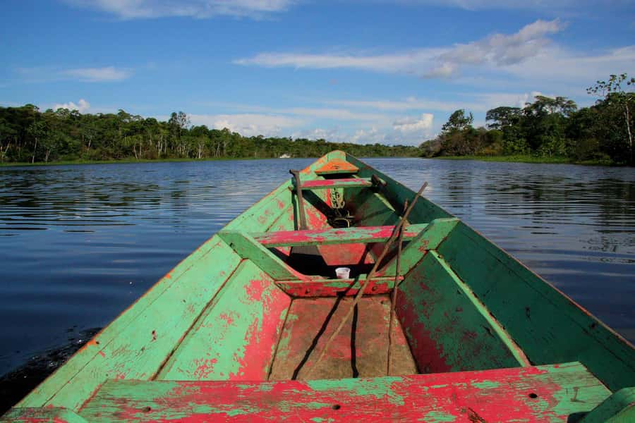 From Puerto Maldonado - Tambopata 4D/3N - Lodges, meals, and the real value of $600