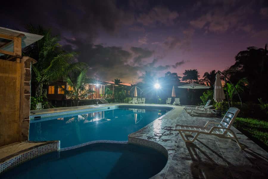 From Puerto Maldonado: Tambopata National Reserve 3-Day Tour - Monkey Island on the First Afternoon