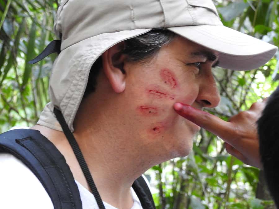 From Puerto Maldonado: Tambopata National Reserve 3-Day Tour - Sandoval Lake: The Main Event on Day Two