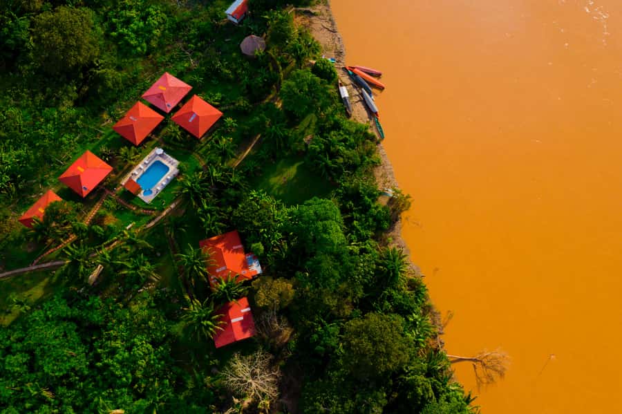 From Puerto Maldonado: Tambopata National Reserve 3-Day Tour - Canopy Views and Jungle Activities on Day Three