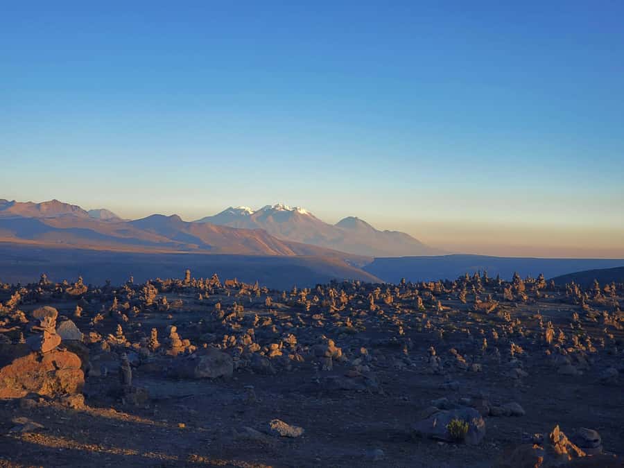 From Puno: 2-Day Tour to Colca Canyon ending in Arequipa - Patapampa at 4,900 meters