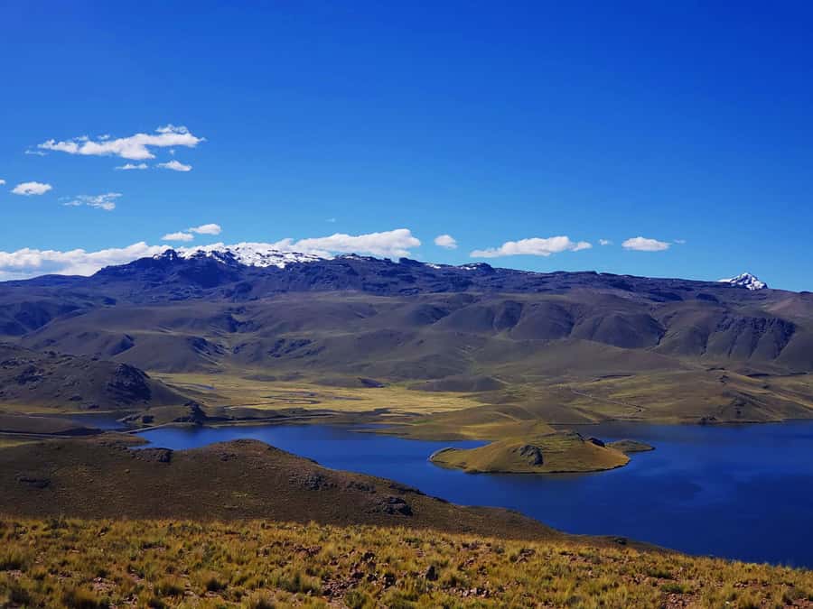 From Puno: 2-Day Tour to Colca Canyon ending in Arequipa - Cruz del Cóndor and the flight of the Andean condor