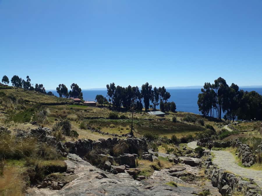 From Puno: full day tour to Uros and Taquile with Lunch - Walking Taquile Island for three hours
