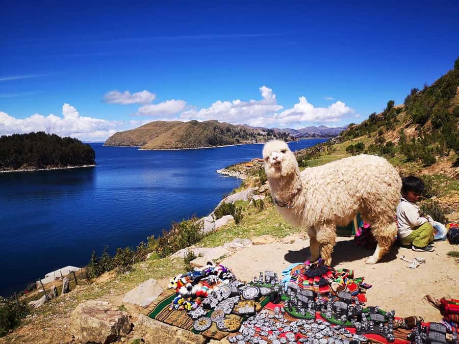 From Puno: Sun Island and Copacabana 1-Day Tour - Copacabana: sanctuary, lunch, and a short pause