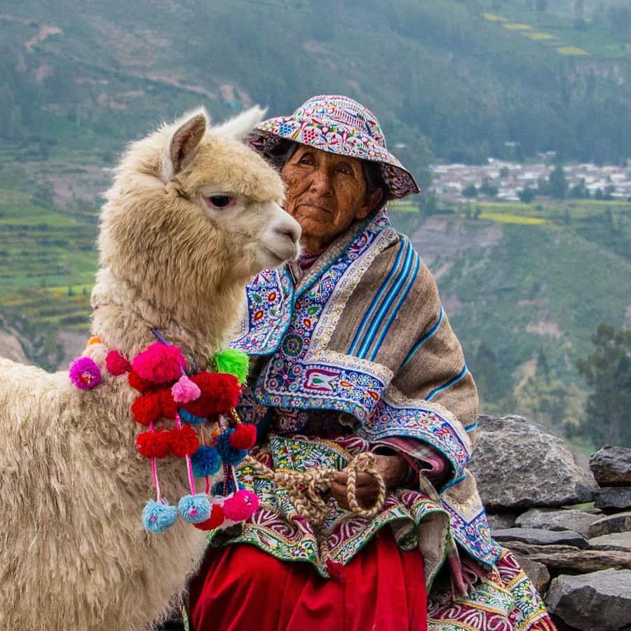 From Puno to Arequipa: 2 Days/1 Night Colca Canyon Tour - Key points to know before booking