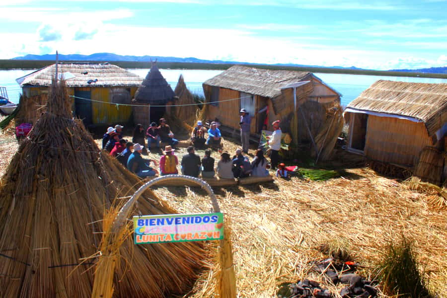From Puno: Uros floating islands half Day tour - Key points to know before booking
