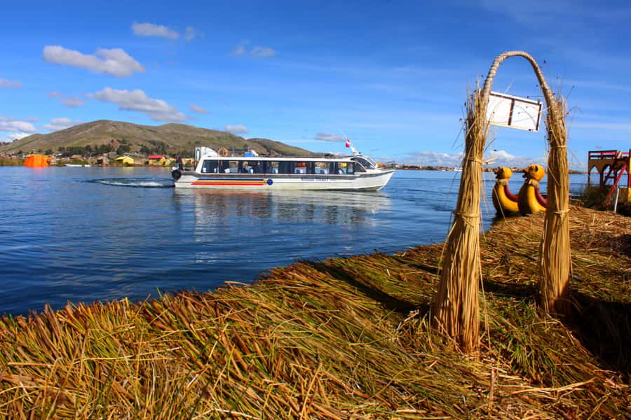 From Puno: Uros floating islands half Day tour - Practical details for a smoother visit