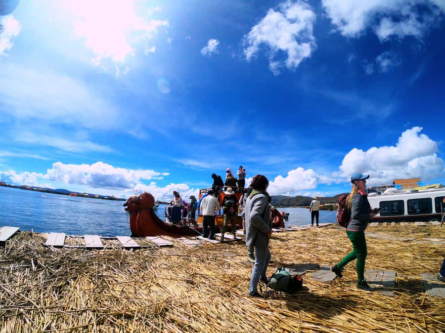 From Puno: Uros floating islands half Day tour - How totora reeds create a floating island