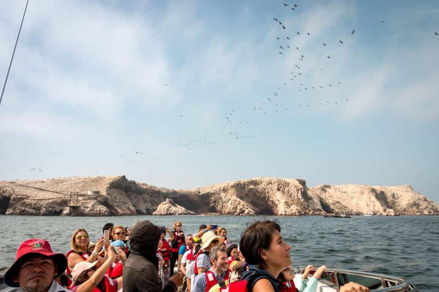 From San Martin Port: Ballestas Island & Paracas Reserve - From San Martin Port to El Chaco Pier
